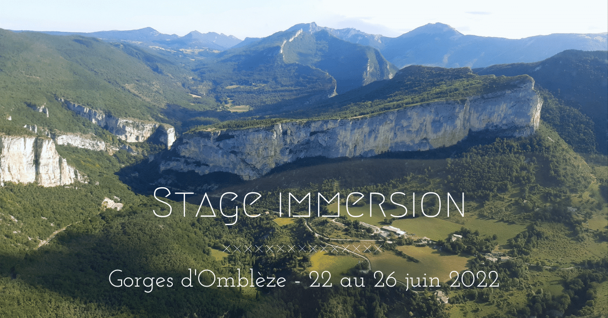stage immersion