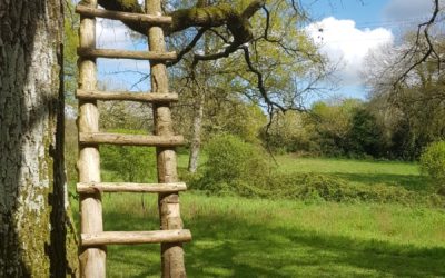 Retraite Yoga et Méditation 1-2 octobre