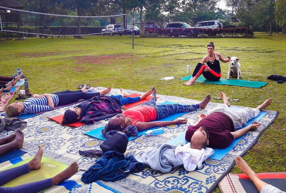 Je fête mes cinq ans de prof de yoga !